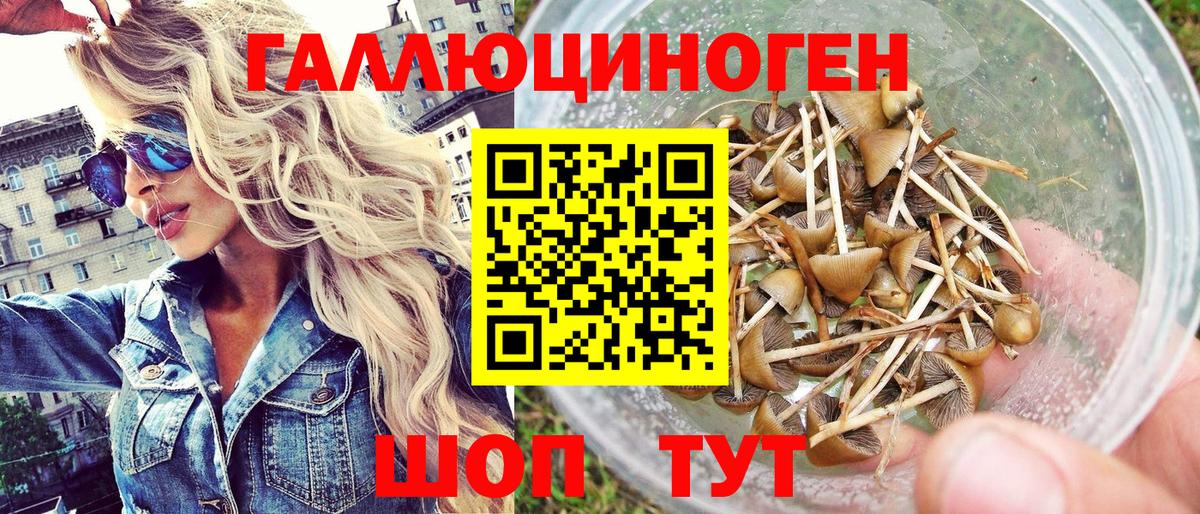 Псилоцибиновые грибы мухоморы  Вход с VPN  Электрогорск 